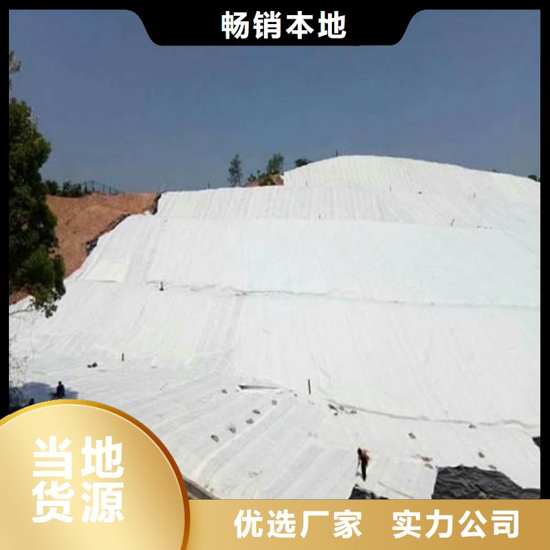 700g聚丙烯无纺土工布直销批发