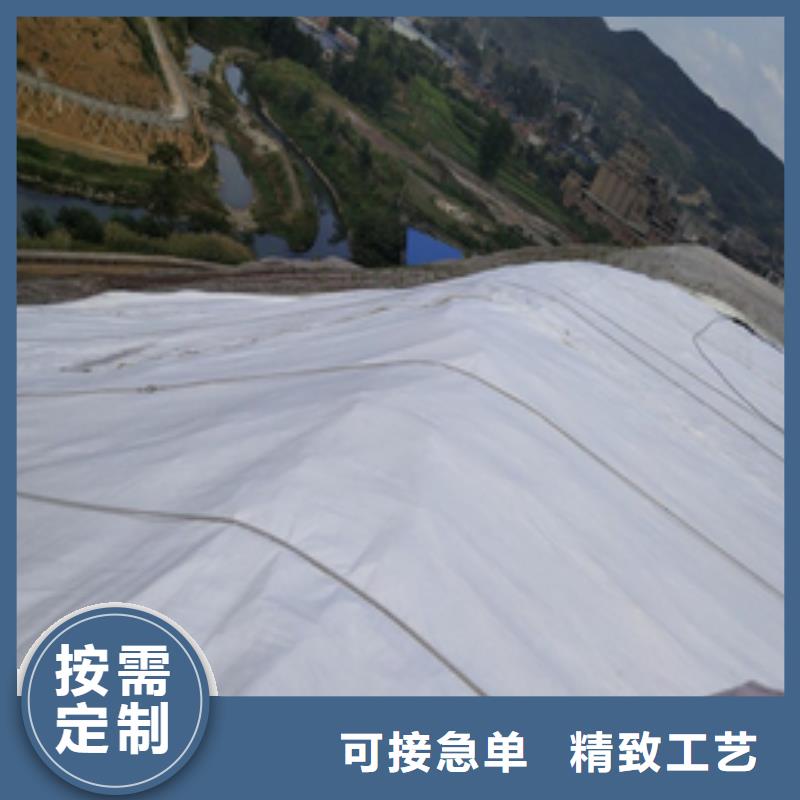 工程土工布_型号100g-1kg_可按需求定制