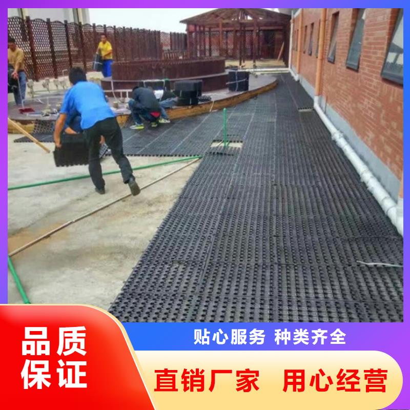 文昌市塑料排水板疏水排水