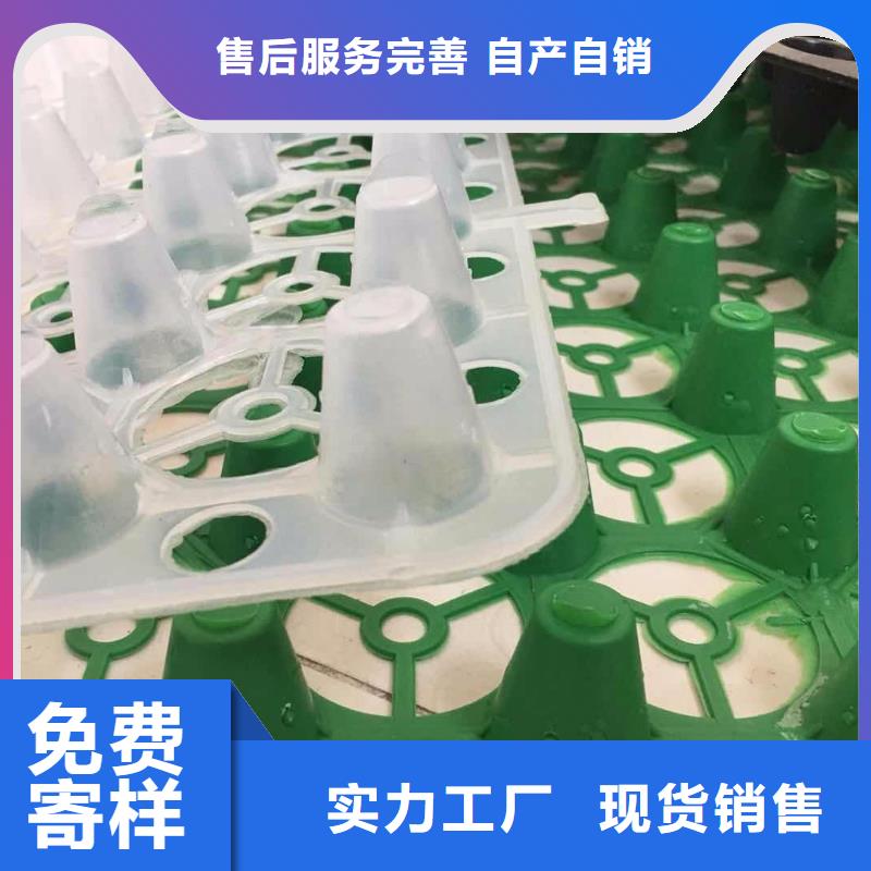 塑料排水板施工工艺