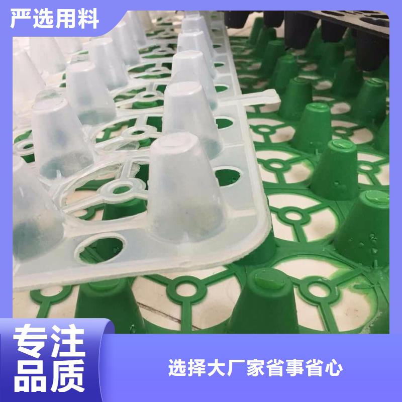 塑料排水板批发