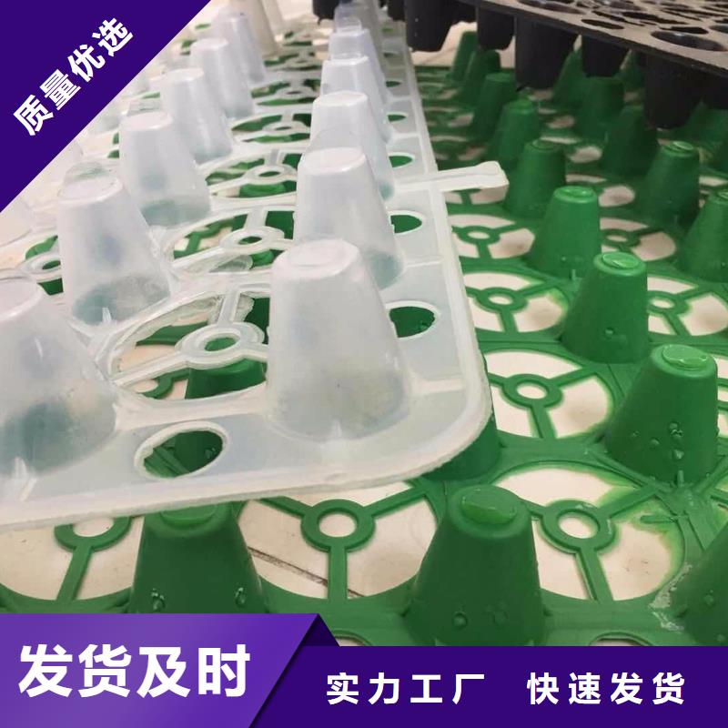 塑料排水板施工工艺