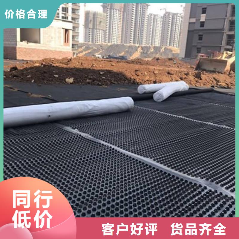 【塑料排水板三维水土保护毯源头工厂】