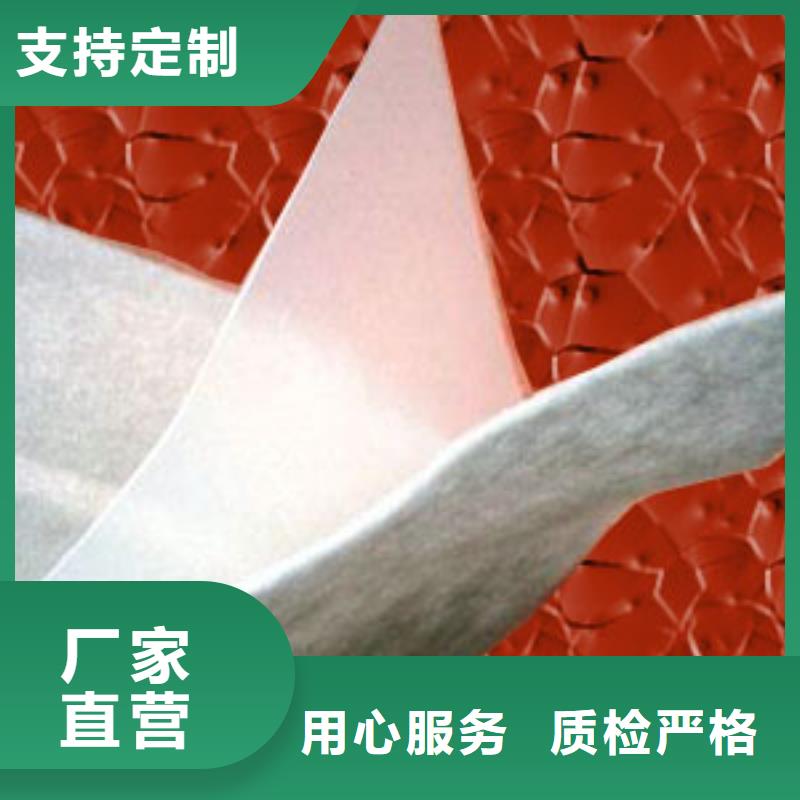 土工膜-土工布-HDPE土工膜-防渗膜厂家