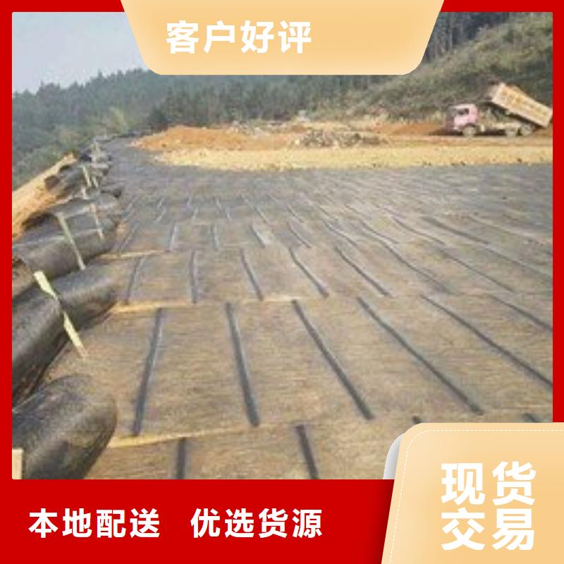 玻纤土工格栅_钢塑土工格栅_塑料土工格栅厂家直销