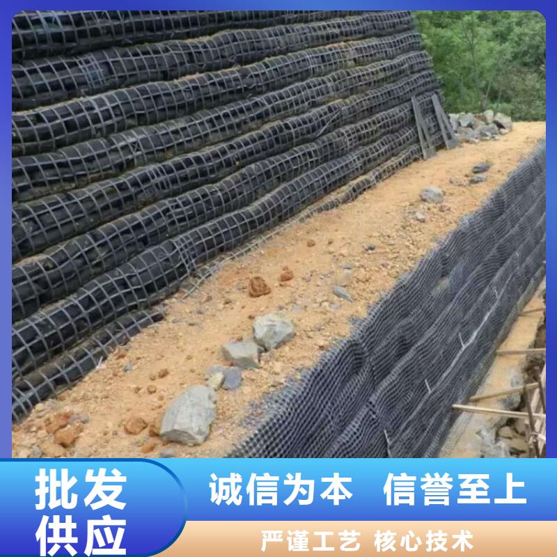 玻纤土工格栅_钢塑土工格栅_塑料土工格栅厂家直销