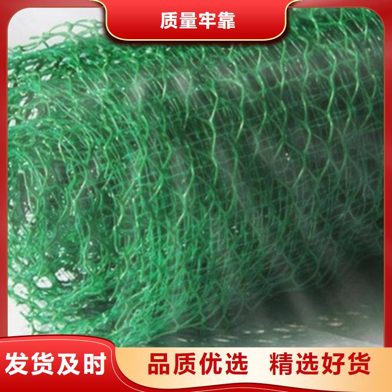 三维植被网-软式透水管源头工厂
