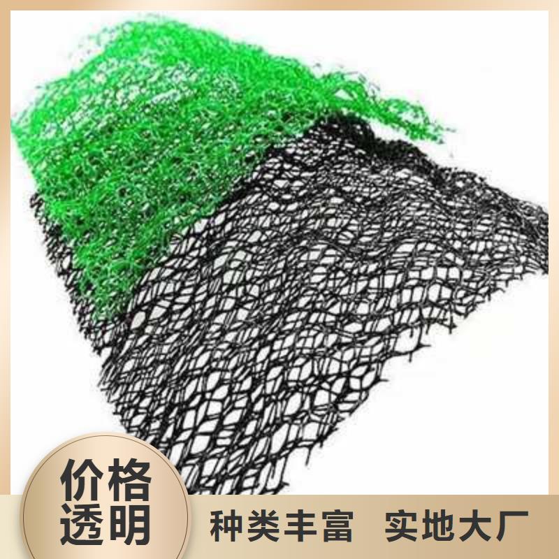 三维植被网-软式透水管源头工厂
