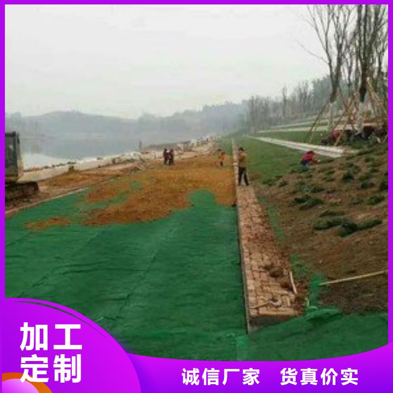 三沙市边坡防护三维植被网——集团公司-2024新行情