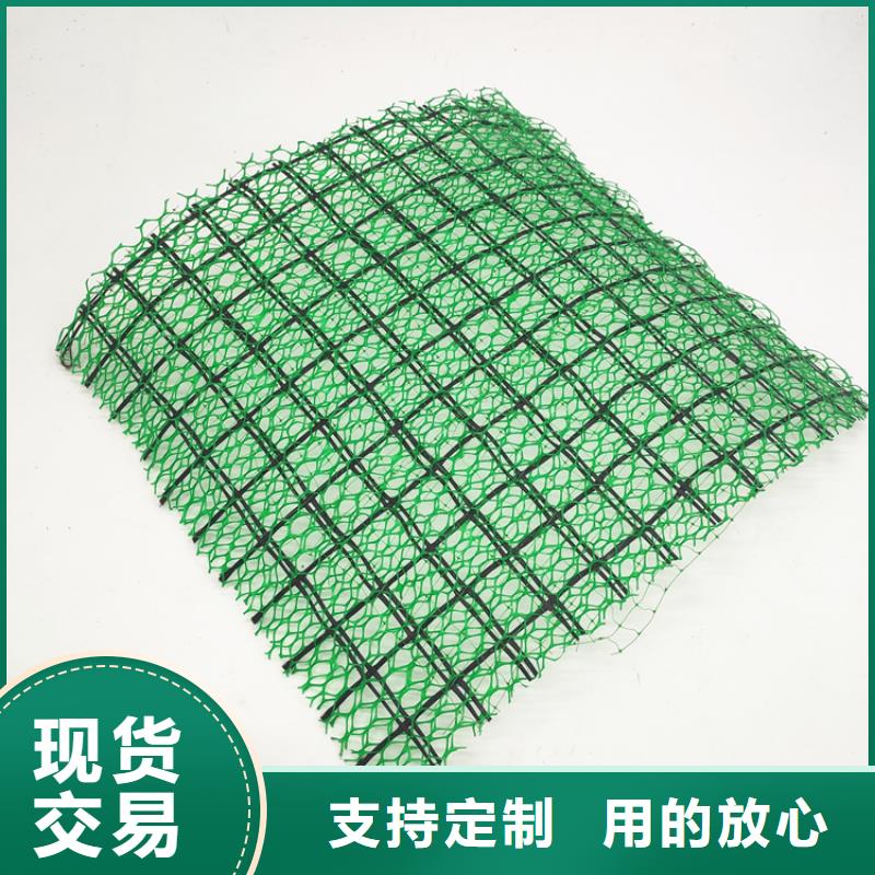 三维植被网-软式透水管源头工厂