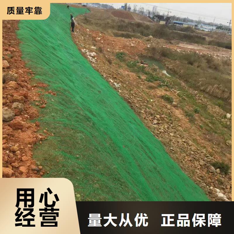 三维植被网,公路边坡植草绿化,三维土工网垫