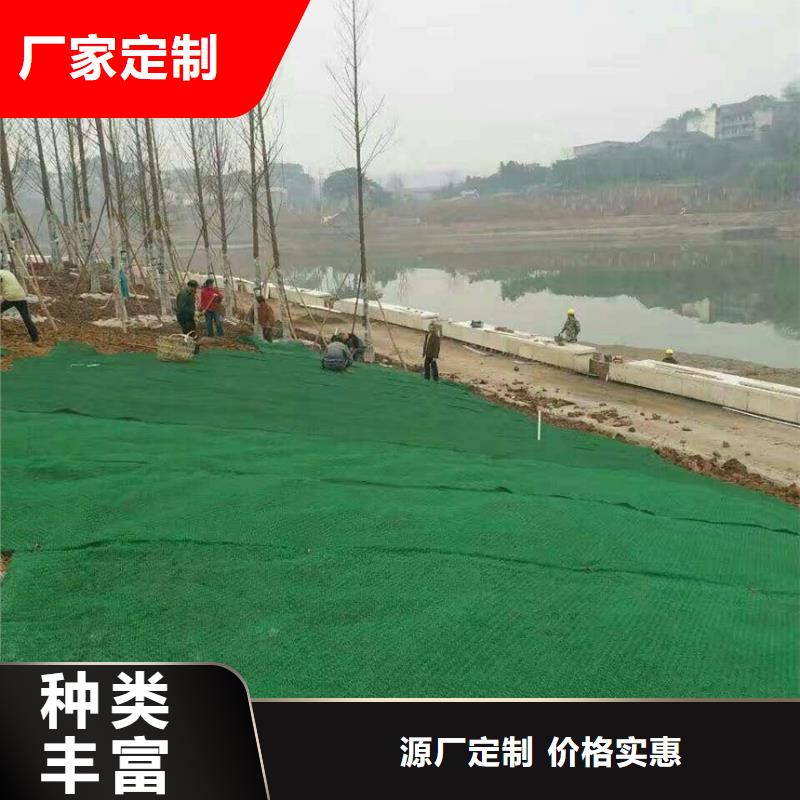 三维植被网,公路边坡植草绿化,三维土工网垫