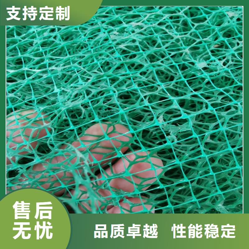 三维植被网-绿化网-价格低-发货快