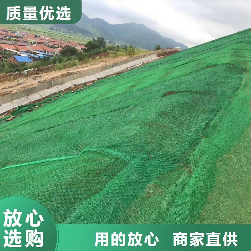 五指山市三维植被网,公路边坡植草绿化,三维土工网垫