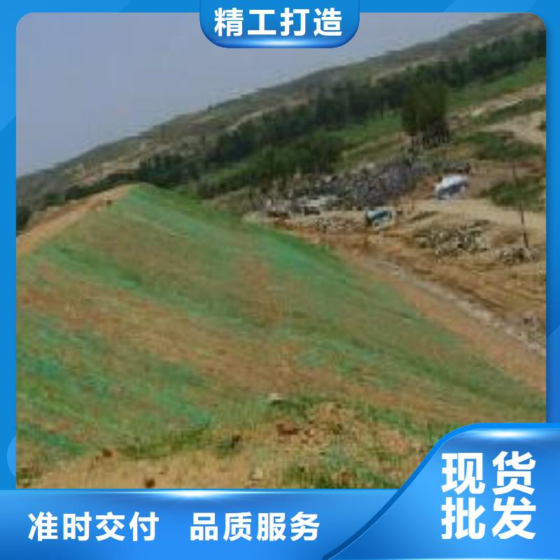 公路护坡三维植被网批发生产