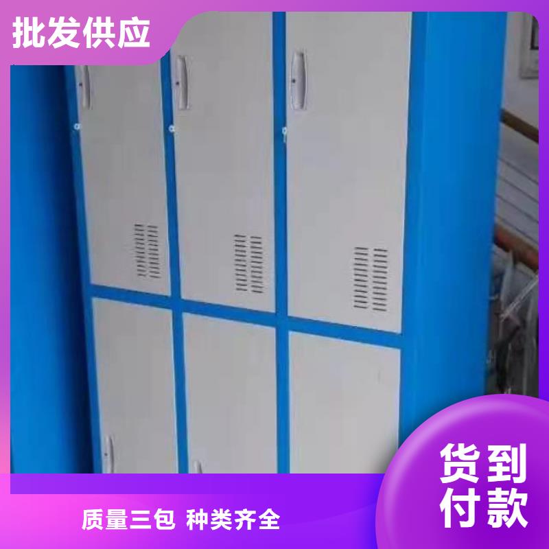 东丰县办公室储物柜杰顺定制