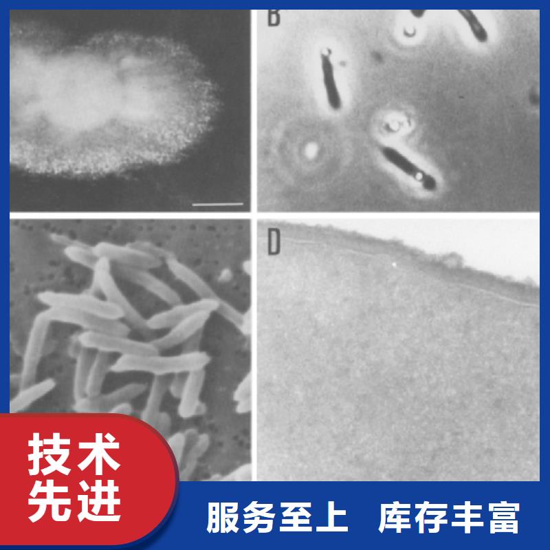 培养菌种碳源实体厂家