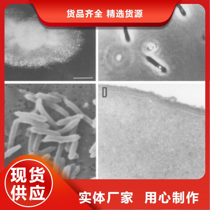 生物复合碳源-商品批发价格