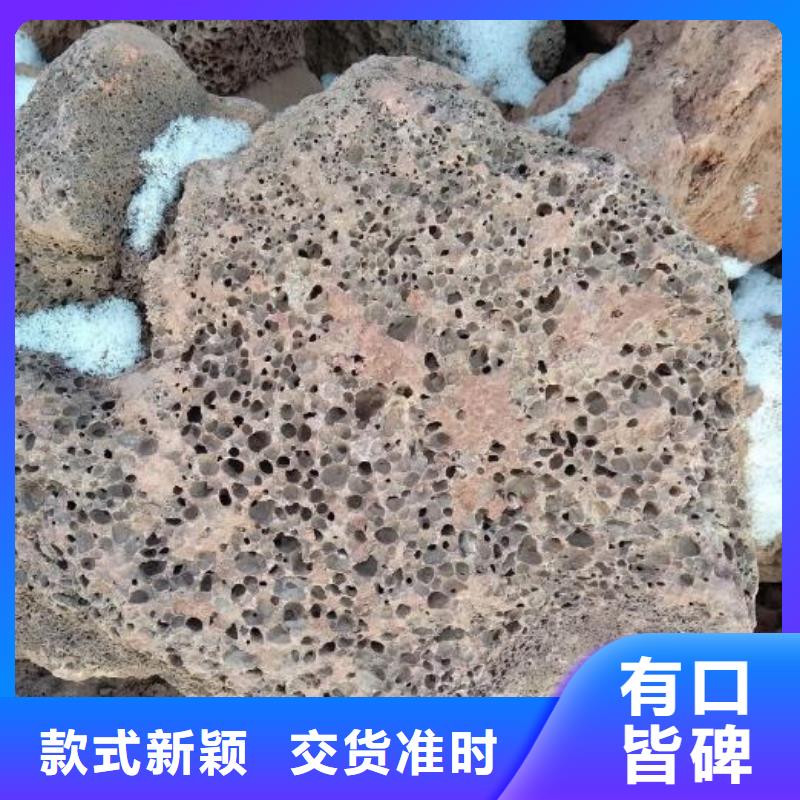 生物滤池专用活山岩哪里有卖