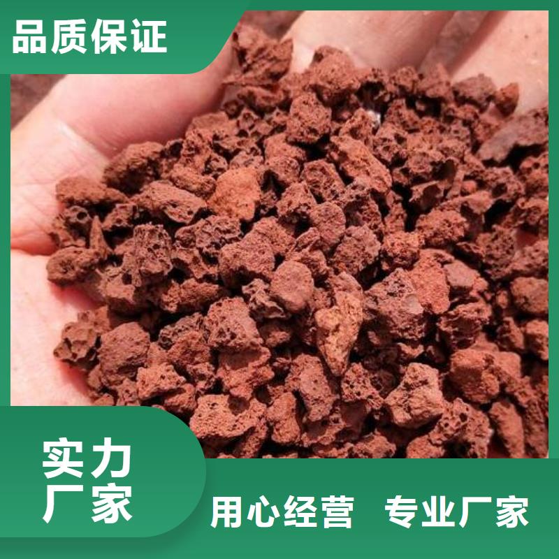 反硝化池用活山岩品质放心