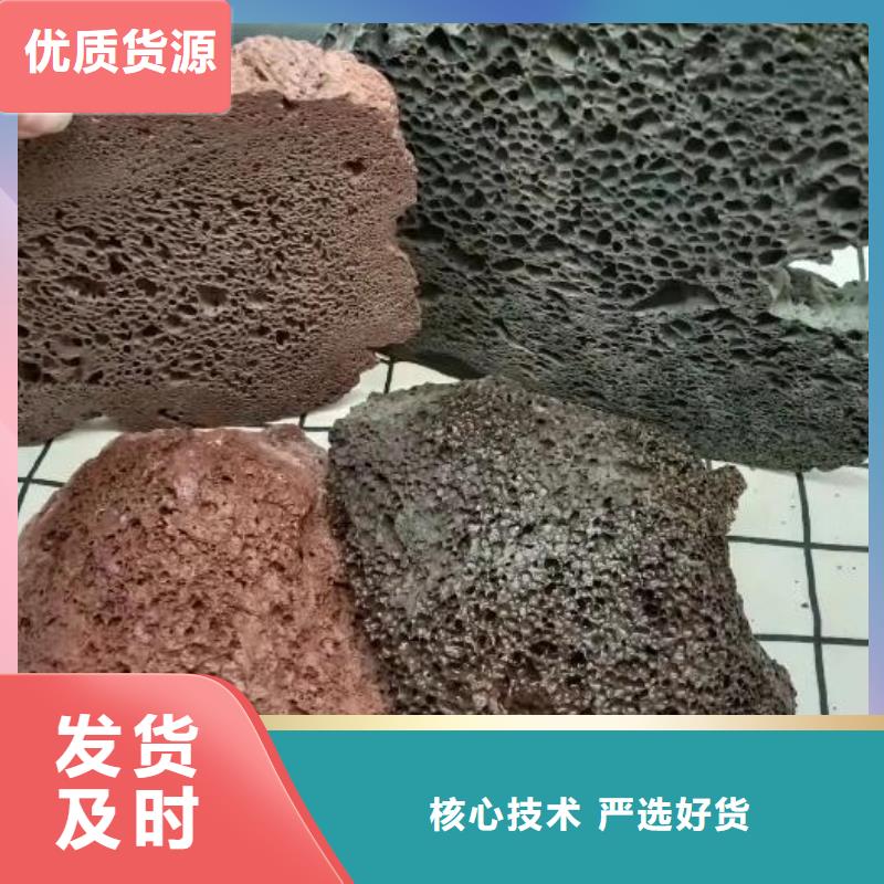 反硝化池用火山岩陶粒价格