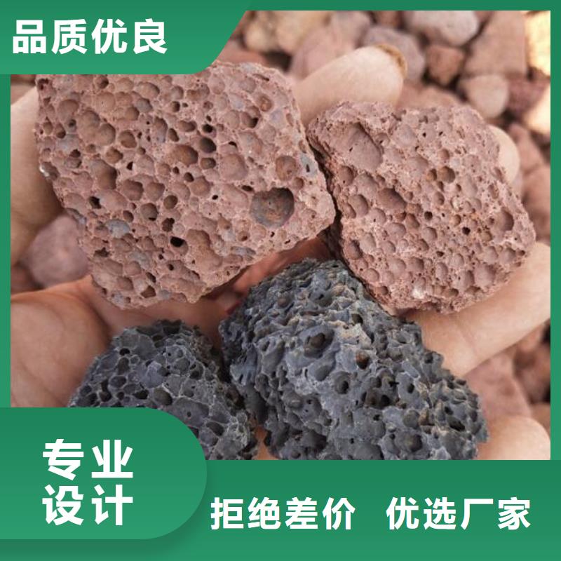 反硝化池用火山岩陶粒价格