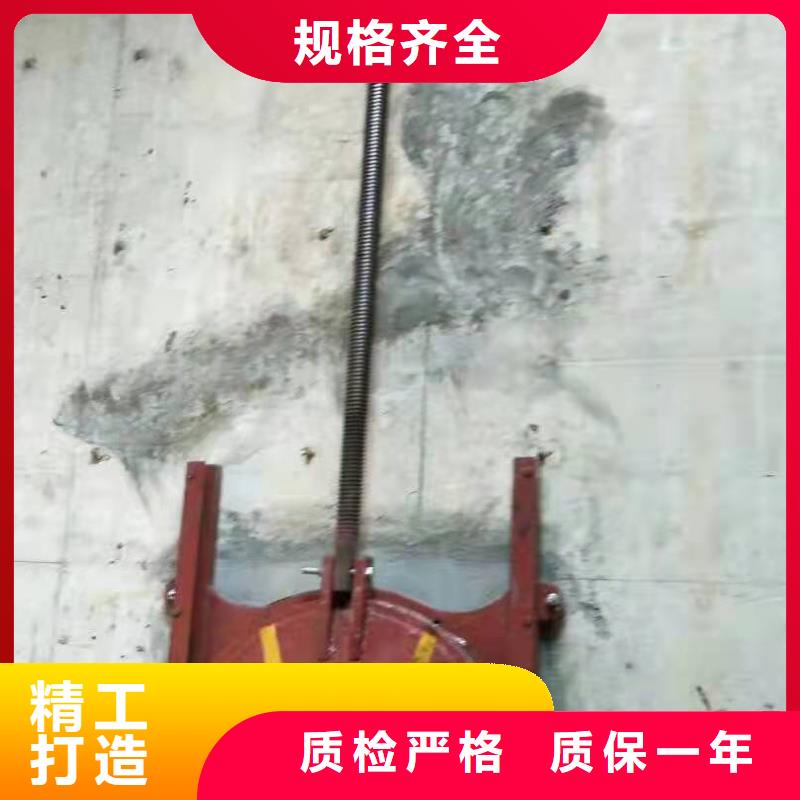 插板铸铁闸门生产厂家