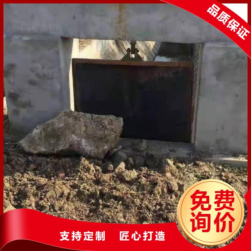 定制河道铸铁闸门_生产厂家