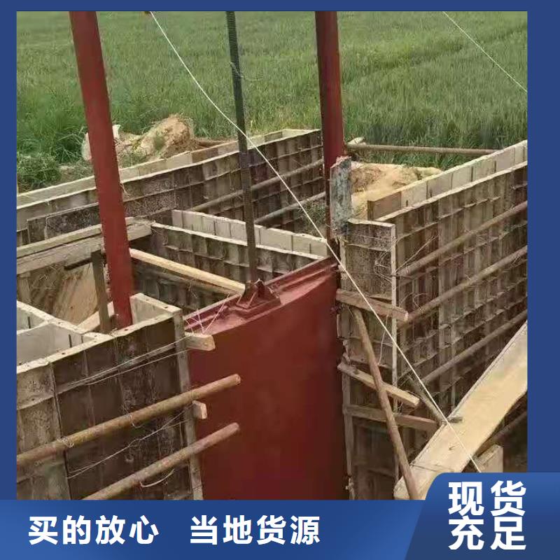 附壁式铸铁闸门欢迎电询