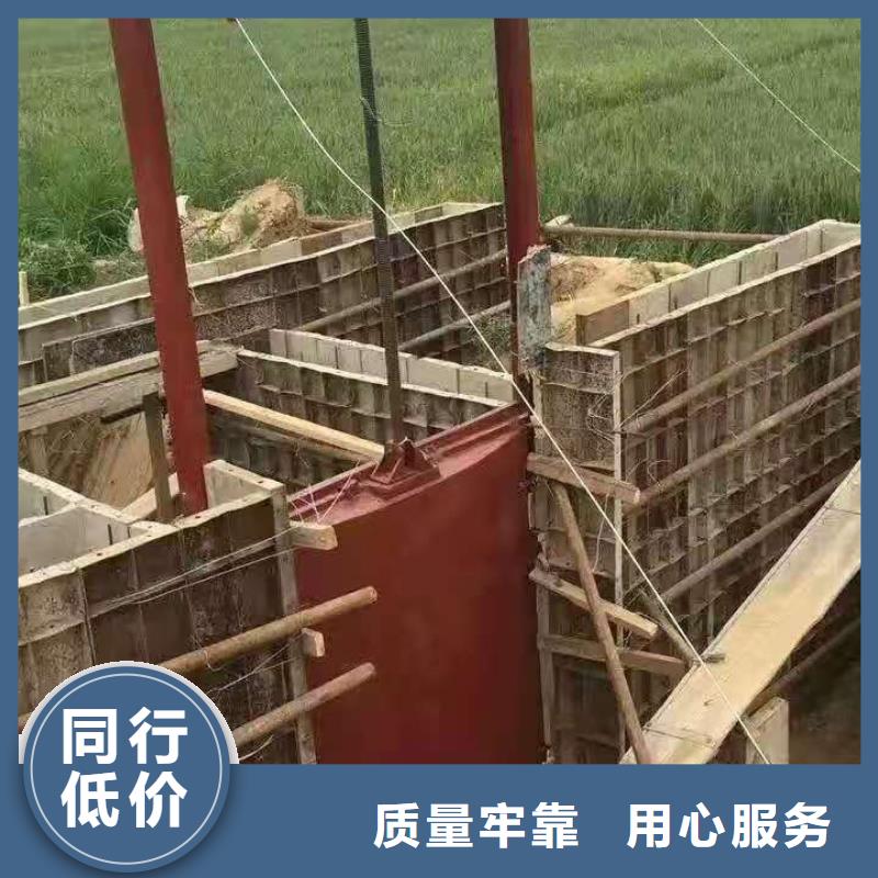 防汛铸铁闸门出厂价