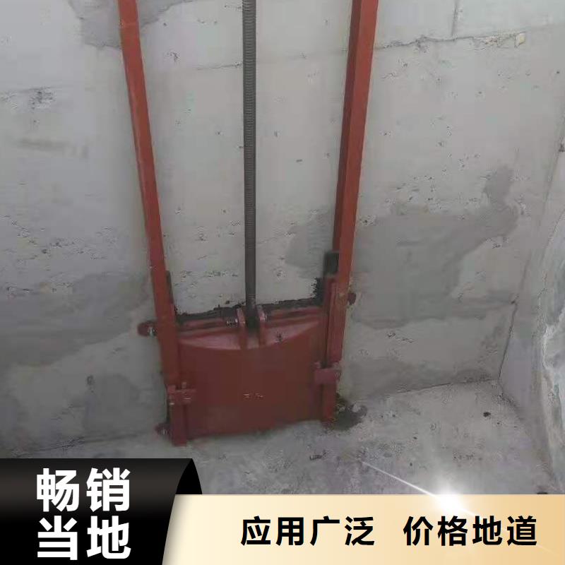 铸铁镶铜闸门生产厂家