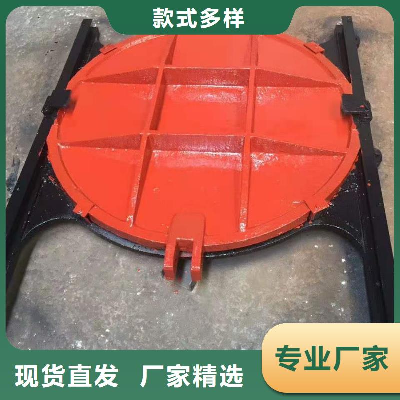 插板铸铁闸门生产厂家