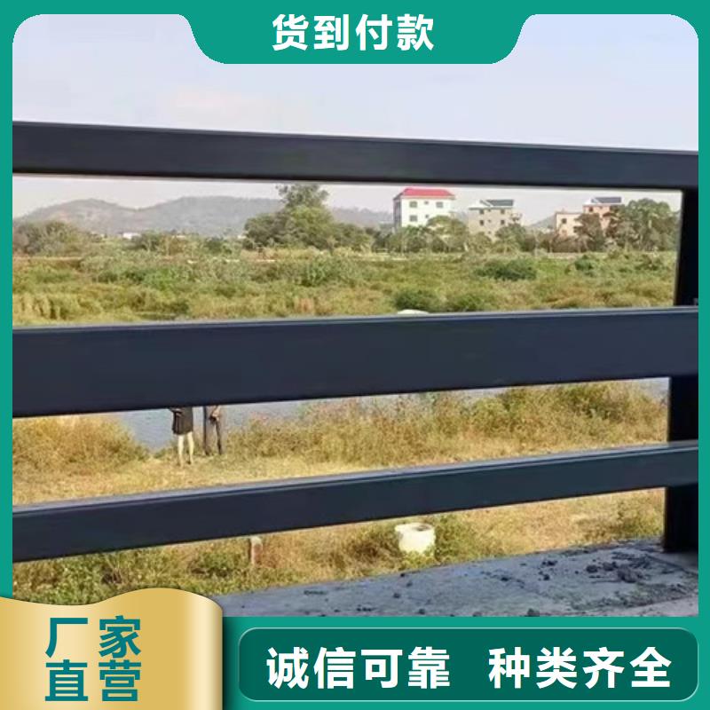 性价比高的缆索河道灯光栏杆厂家