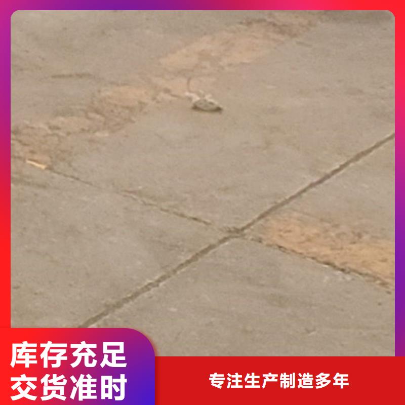桥梁钢护栏可定制厂家