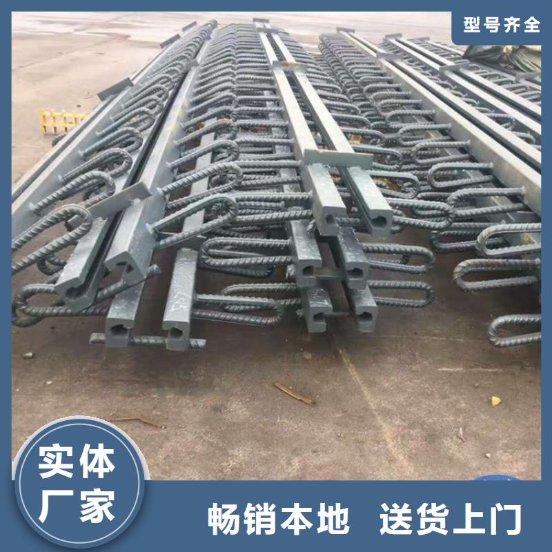 快速高效:D160型公路桥梁伸缩缝装置厂家