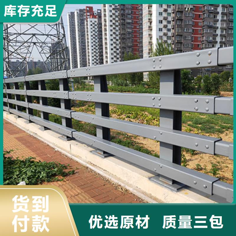 批发道路护栏找神龙金属制造有限公司