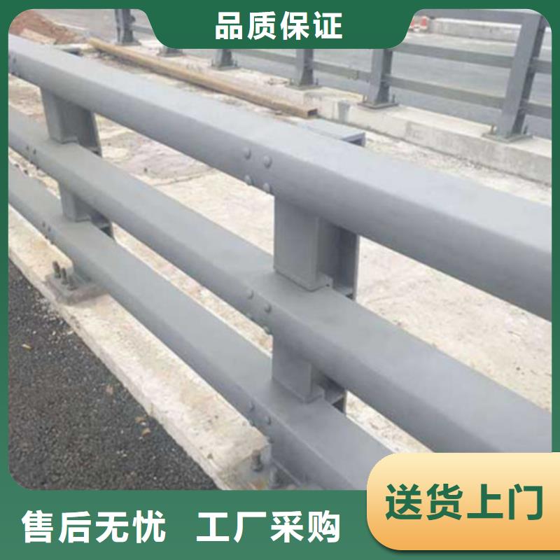 道路防撞护栏种植基地