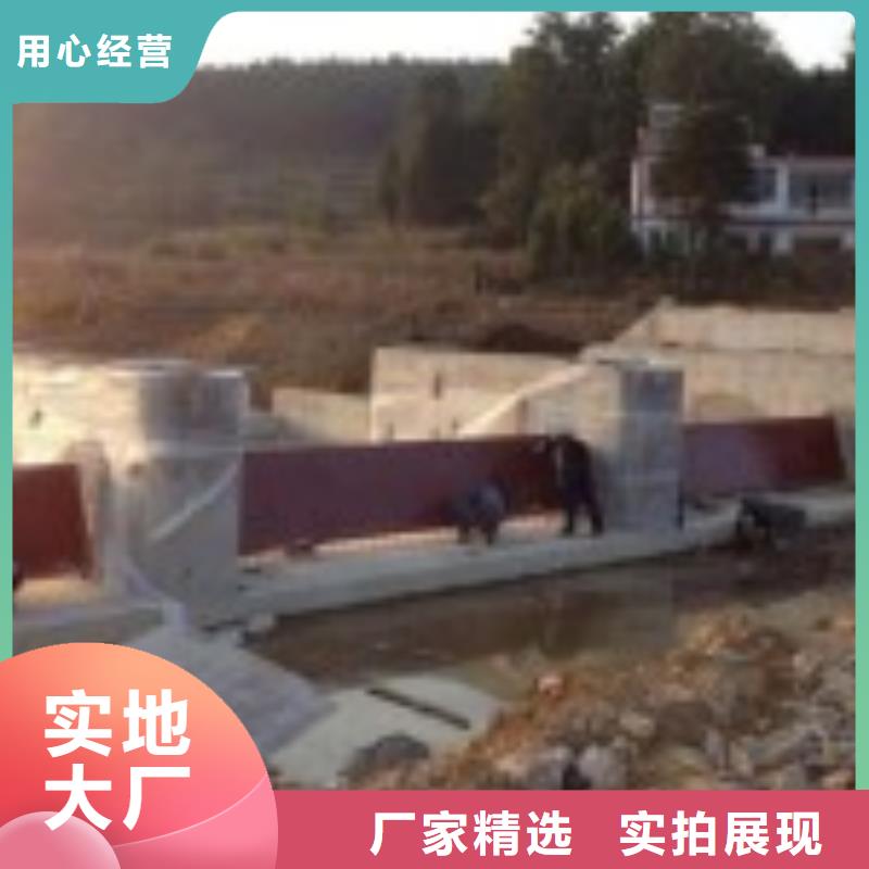  翻板闸门真材实料加工定制
