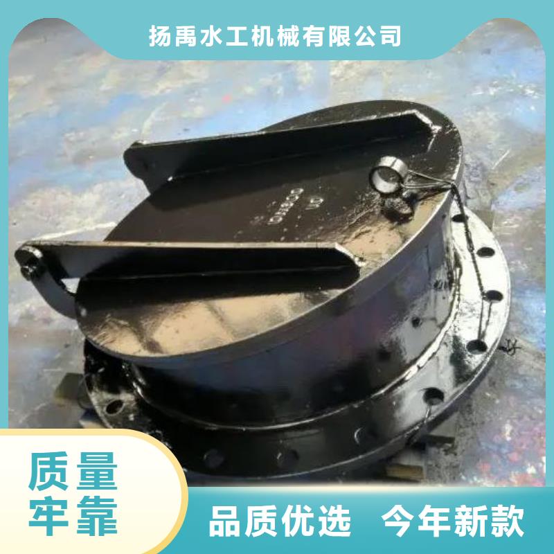 拍门双向止水闸门选择大厂家省事省心