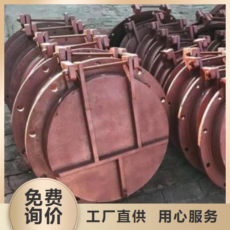 拍门双向止水闸门选择大厂家省事省心