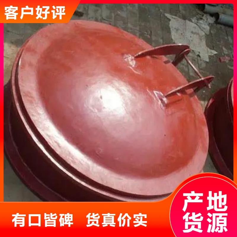 拍门双向止水闸门按需定做