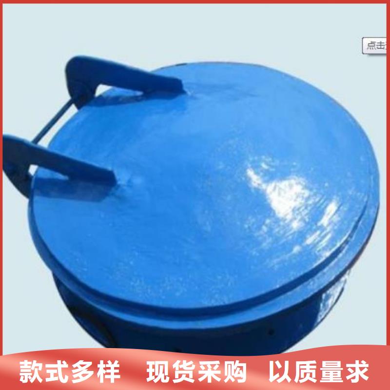 拍门双向止水闸门按需定做