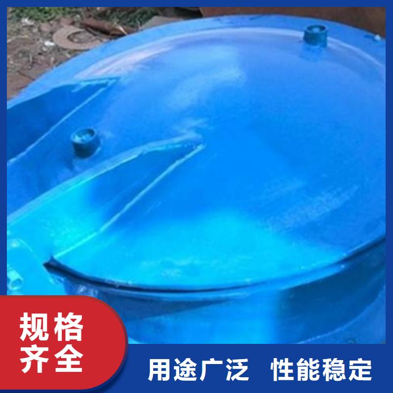 拍门双向止水闸门选择大厂家省事省心