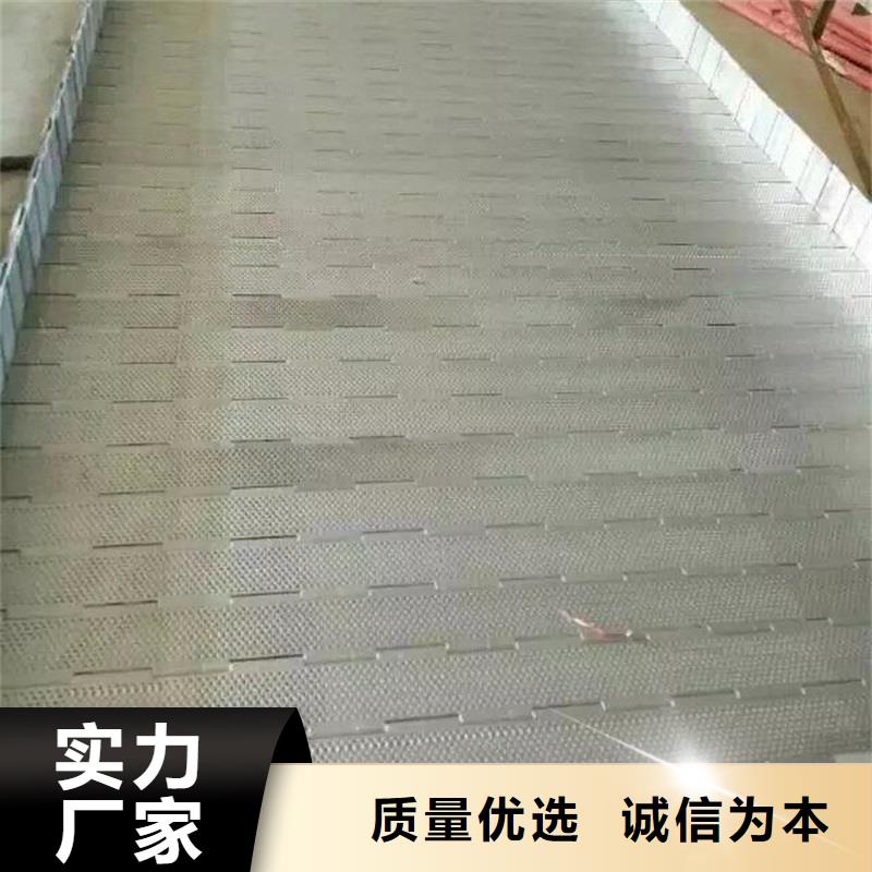 尼龙链板输送带构造价格厂家