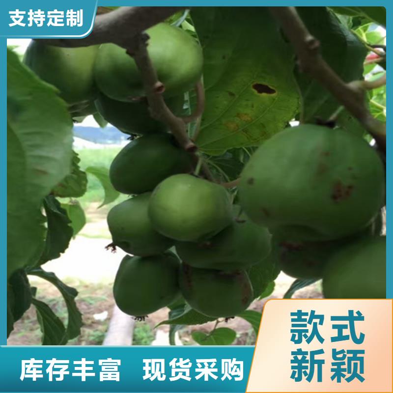 猕猴桃,草莓苗快捷物流