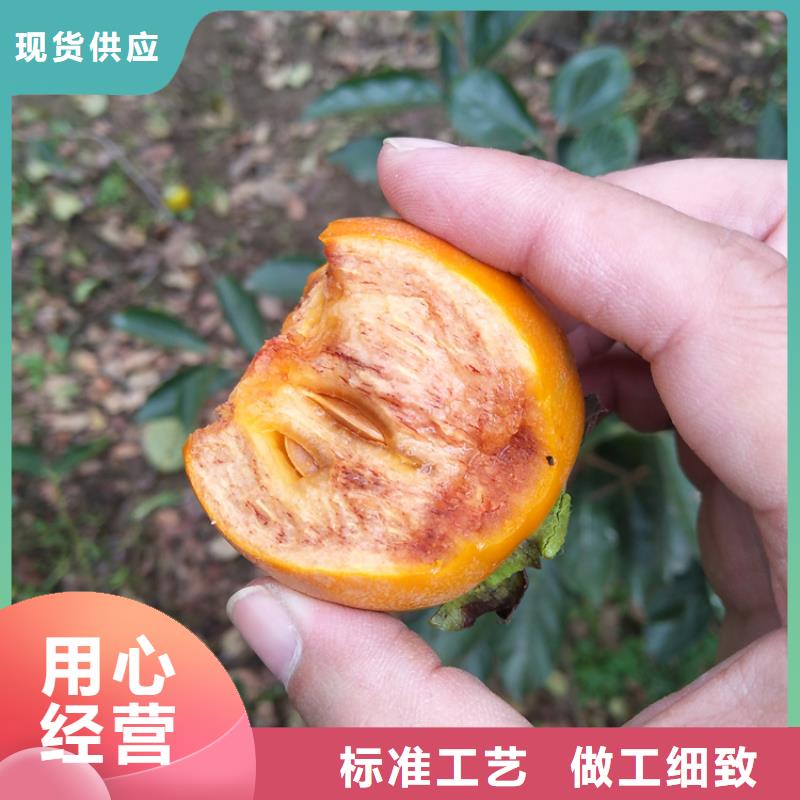 黑柿子树种植技术