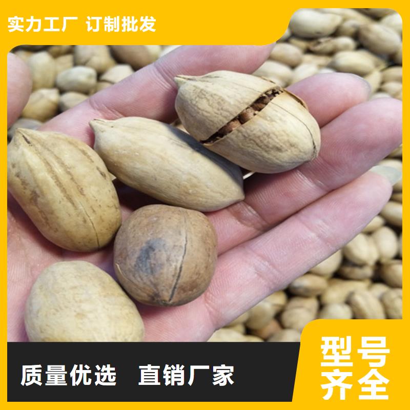 碧根果成活率高