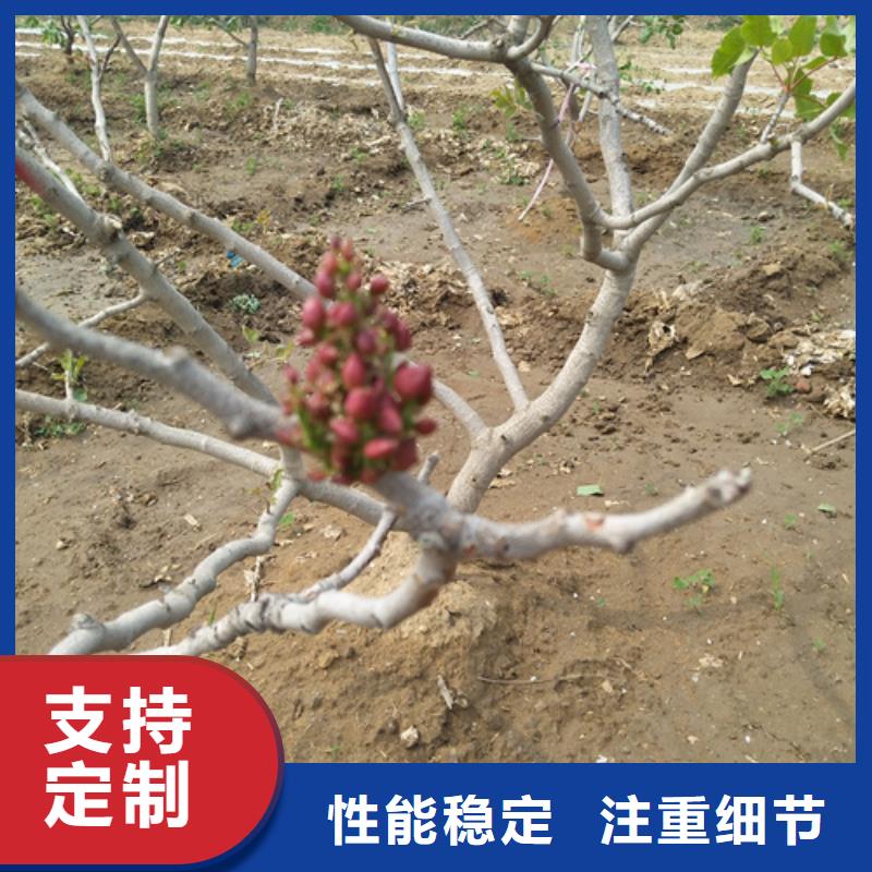 开心果种植管理技术