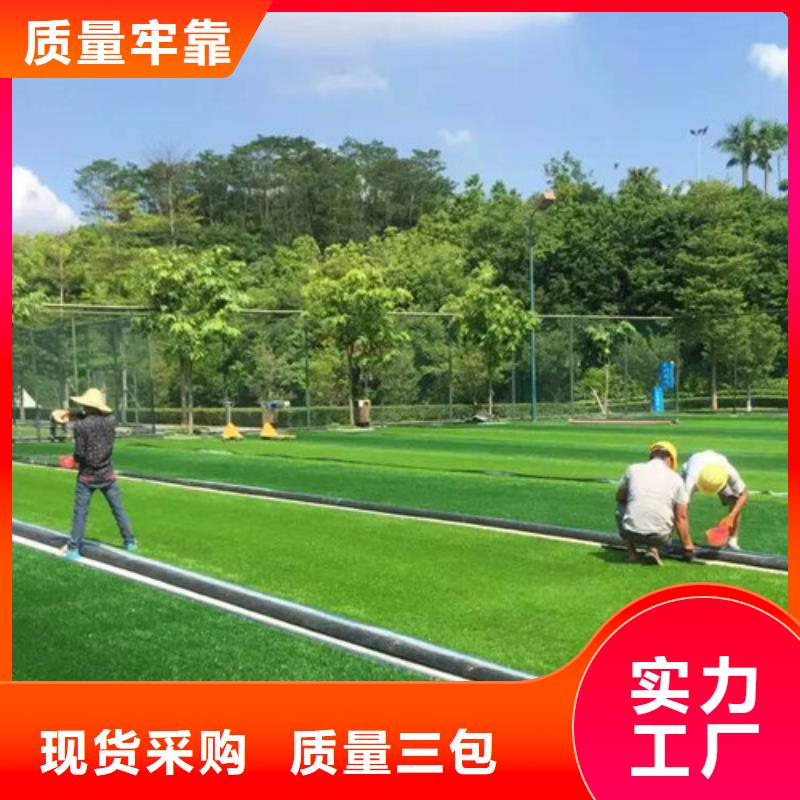 杨浦注塑人造草坪服务为先
