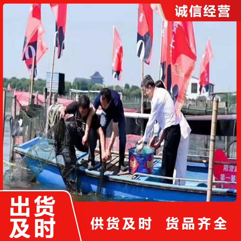 阳澄湖大闸蟹人气高